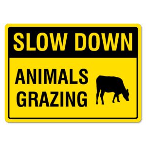 Slow Down Animals Grazing