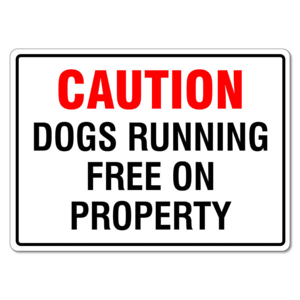 Dogs Running Free