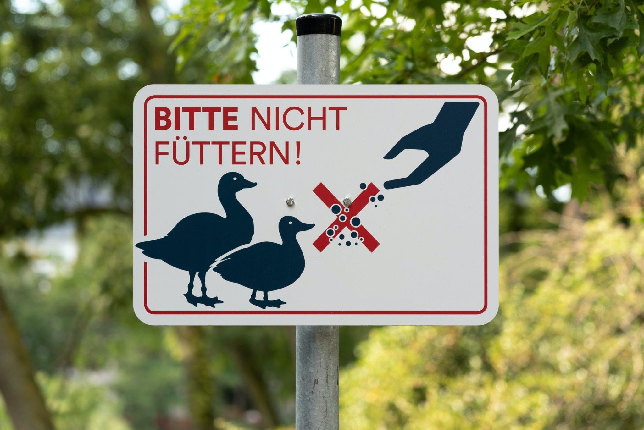 Please Don’t Feed The Birds Sign