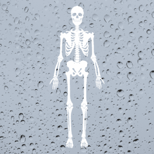 Skeleton Halloween Window Sticker