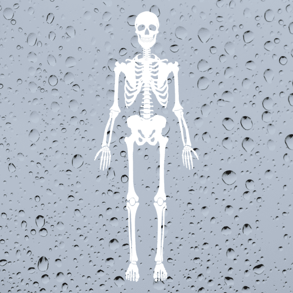 Skeleton Halloween Window Sticker
